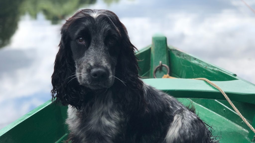 Canoes/River Rafting