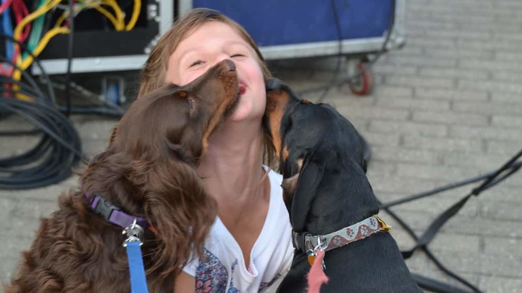 Dog kissing a person