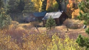 A vibrant dog park bathed in sunlight features abundant greenery with mature trees, offering ample shade for leisurely outdoor activities. In the distance is a well-equipped playground that presents an additional activity area. An inviting picnic table spreads out nearby, ideal for enjoying meals al fresco or taking relaxing breaks from play. A neatly-placed trash bin aids in maintaining the park's cleanliness for everyone's enjoyment. Dominating the scene is a generously wide dirt path gracefully curving through the expanse of grass, promising exploratory walks and lively fetch games.