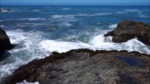 A vibrant dog park bathed in sunlight features abundant greenery with mature trees, offering ample shade for leisurely outdoor activities. In the distance is a well-equipped playground that presents an additional activity area. An inviting picnic table spreads out nearby, ideal for enjoying meals al fresco or taking relaxing breaks from play. A neatly-placed trash bin aids in maintaining the park's cleanliness for everyone's enjoyment. Dominating the scene is a generously wide dirt path gracefully curving through the expanse of grass, promising exploratory walks and lively fetch games.