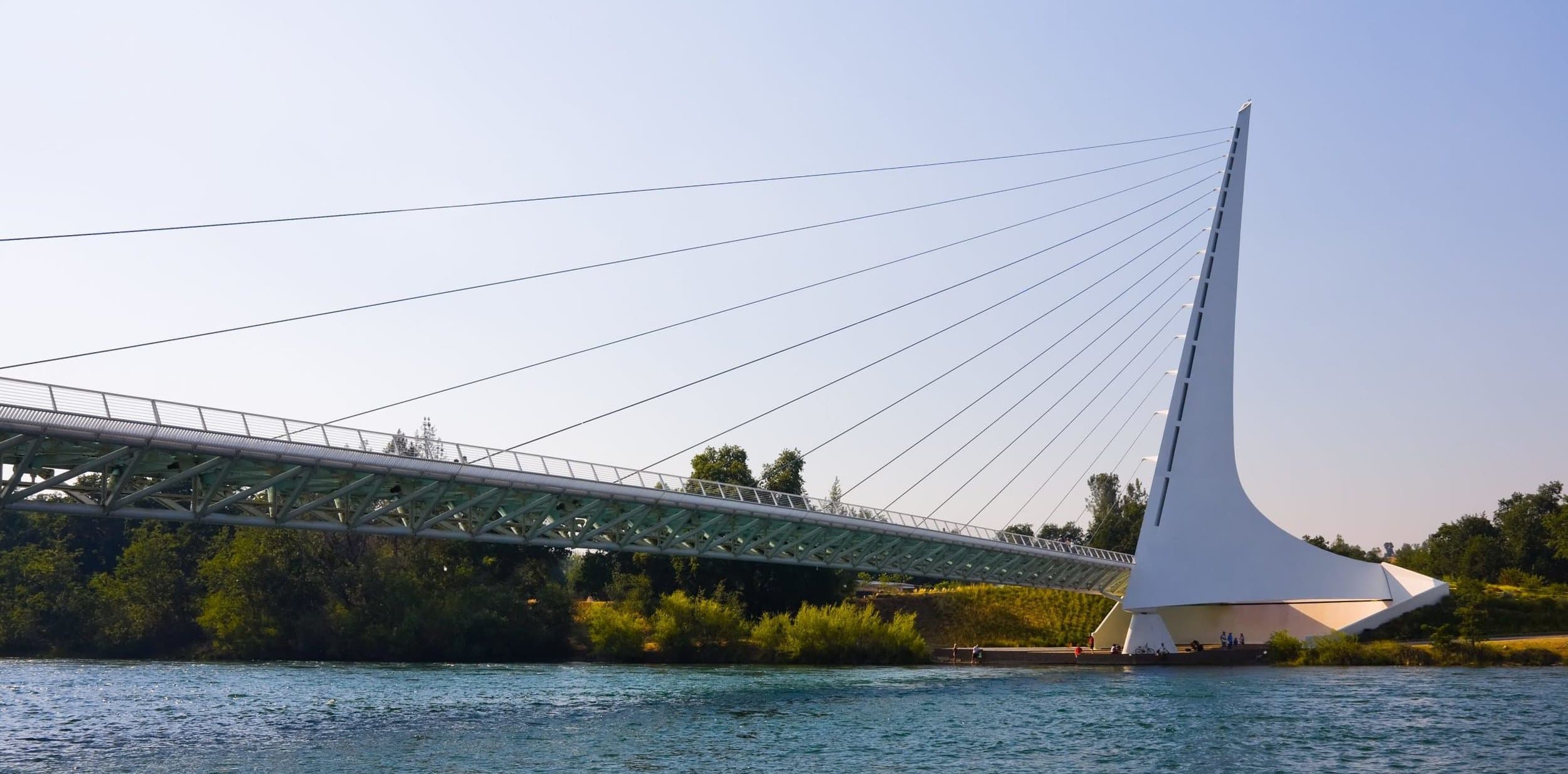 Explore a breathtaking, contemporary cable-stayed bridge with your furry friend. This visually striking structure is anchored by a single, elegant white pylon, gracefully stretching over an inviting body of water. Perfect for an adventurous walk or relaxing picnic with your tail-wagging companion. - Dogtrekker