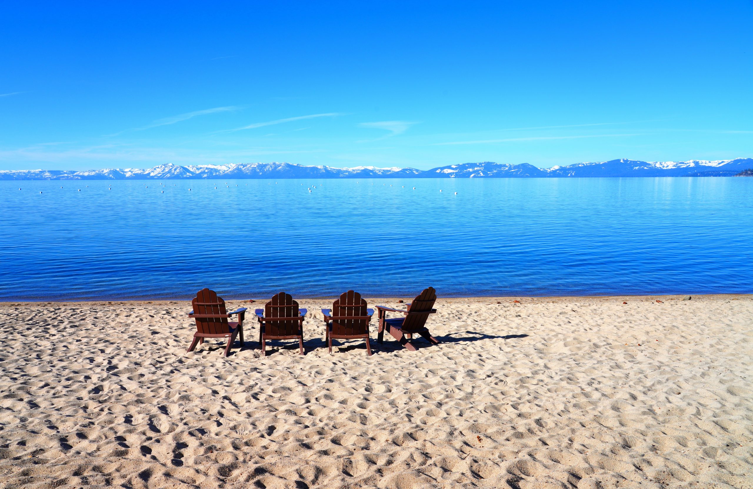 A vibrant dog park bathed in sunlight features abundant greenery with mature trees, offering ample shade for leisurely outdoor activities. In the distance is a well-equipped playground that presents an additional activity area. An inviting picnic table spreads out nearby, ideal for enjoying meals al fresco or taking relaxing breaks from play. A neatly-placed trash bin aids in maintaining the park's cleanliness for everyone's enjoyment. Dominating the scene is a generously wide dirt path gracefully curving through the expanse of grass, promising exploratory walks and lively fetch games.