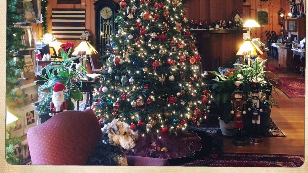 Christmas tree and decorations at the Stanford Inn.