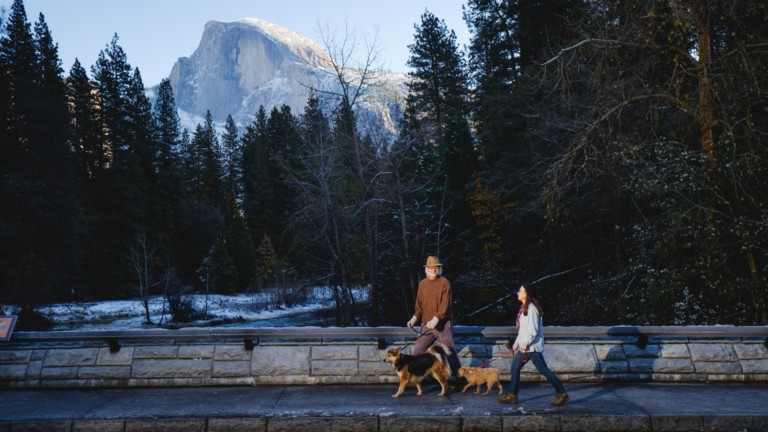 Yosemite in winter: doglicious!