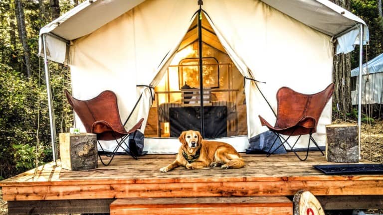 Airstreams, dog-friendly glamping and more
