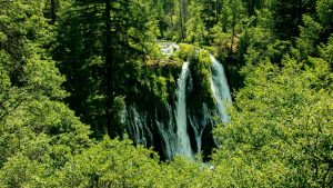 A vibrant dog park bathed in sunlight features abundant greenery with mature trees, offering ample shade for leisurely outdoor activities. In the distance is a well-equipped playground that presents an additional activity area. An inviting picnic table spreads out nearby, ideal for enjoying meals al fresco or taking relaxing breaks from play. A neatly-placed trash bin aids in maintaining the park's cleanliness for everyone's enjoyment. Dominating the scene is a generously wide dirt path gracefully curving through the expanse of grass, promising exploratory walks and lively fetch games.