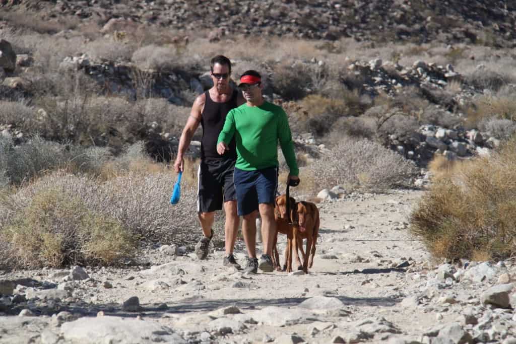 Dog walking with 2 people on a trail