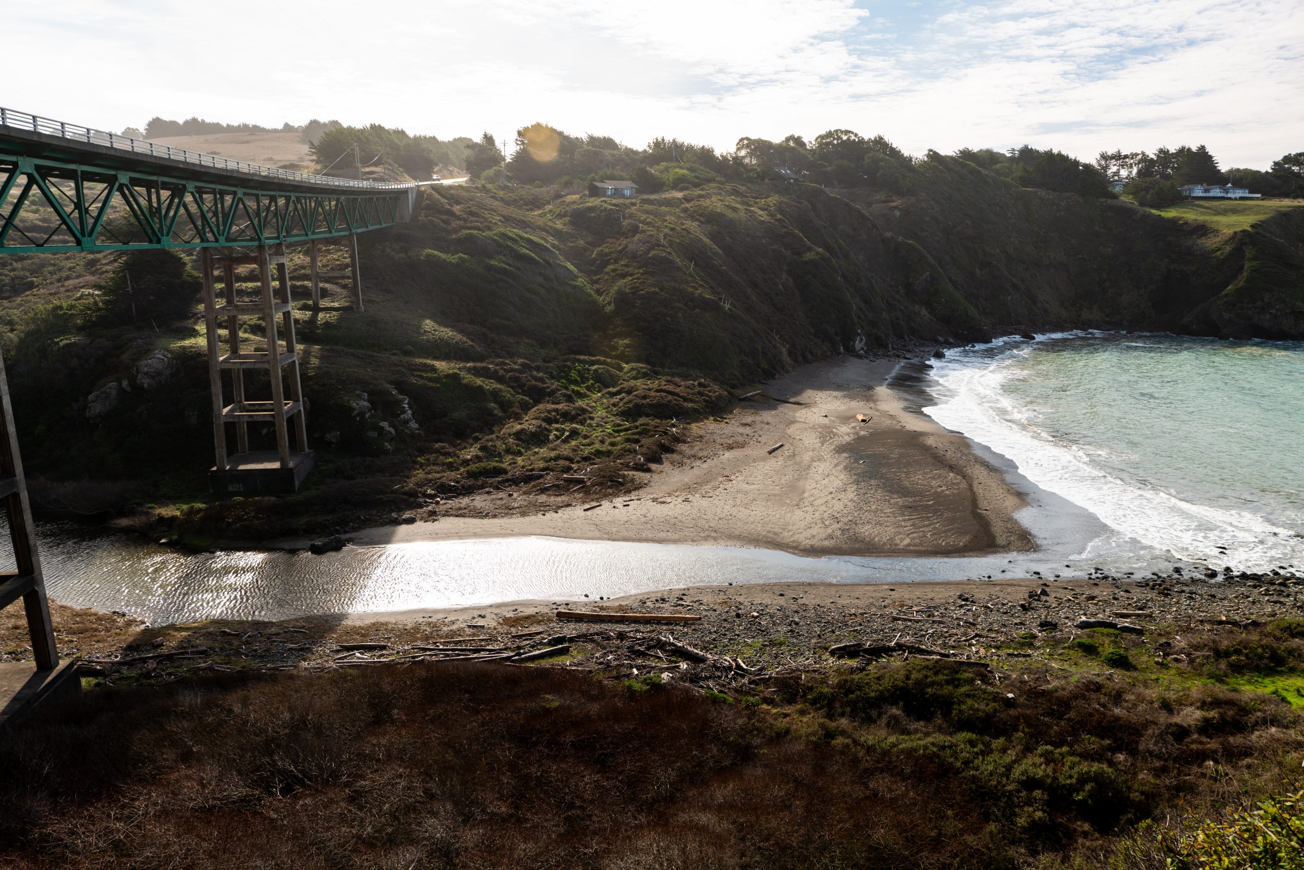 A vibrant dog park bathed in sunlight features abundant greenery with mature trees, offering ample shade for leisurely outdoor activities. In the distance is a well-equipped playground that presents an additional activity area. An inviting picnic table spreads out nearby, ideal for enjoying meals al fresco or taking relaxing breaks from play. A neatly-placed trash bin aids in maintaining the park's cleanliness for everyone's enjoyment. Dominating the scene is a generously wide dirt path gracefully curving through the expanse of grass, promising exploratory walks and lively fetch games.