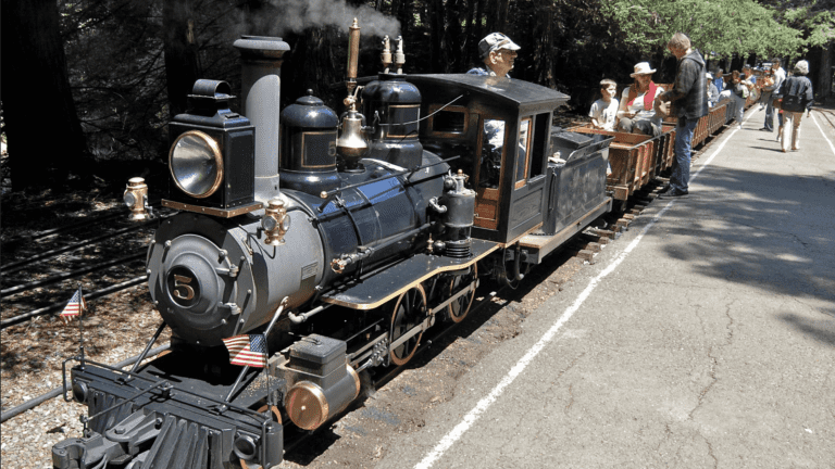 Ride the Tilden Railway with Rufus