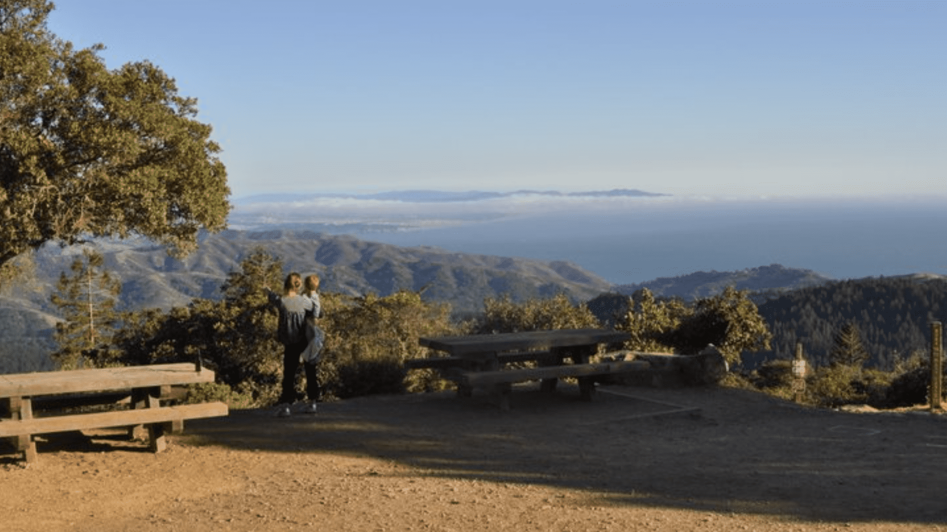 A vibrant dog park bathed in sunlight features abundant greenery with mature trees, offering ample shade for leisurely outdoor activities. In the distance is a well-equipped playground that presents an additional activity area. An inviting picnic table spreads out nearby, ideal for enjoying meals al fresco or taking relaxing breaks from play. A neatly-placed trash bin aids in maintaining the park's cleanliness for everyone's enjoyment. Dominating the scene is a generously wide dirt path gracefully curving through the expanse of grass, promising exploratory walks and lively fetch games.