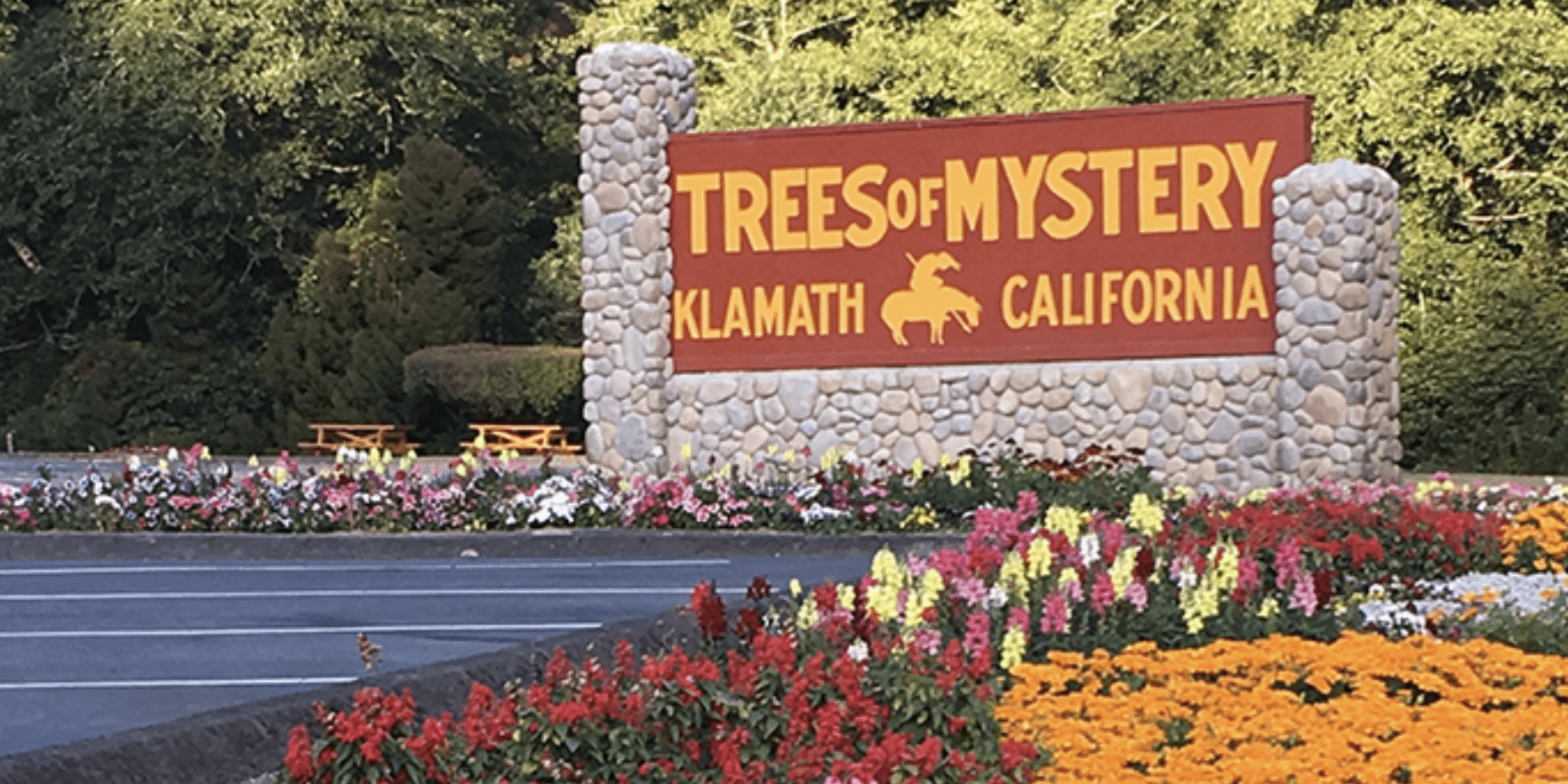 A vibrant dog park bathed in sunlight features abundant greenery with mature trees, offering ample shade for leisurely outdoor activities. In the distance is a well-equipped playground that presents an additional activity area. An inviting picnic table spreads out nearby, ideal for enjoying meals al fresco or taking relaxing breaks from play. A neatly-placed trash bin aids in maintaining the park's cleanliness for everyone's enjoyment. Dominating the scene is a generously wide dirt path gracefully curving through the expanse of grass, promising exploratory walks and lively fetch games.