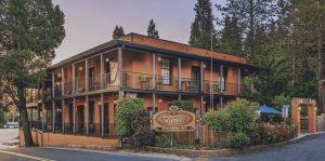 A vibrant dog park bathed in sunlight features abundant greenery with mature trees, offering ample shade for leisurely outdoor activities. In the distance is a well-equipped playground that presents an additional activity area. An inviting picnic table spreads out nearby, ideal for enjoying meals al fresco or taking relaxing breaks from play. A neatly-placed trash bin aids in maintaining the park's cleanliness for everyone's enjoyment. Dominating the scene is a generously wide dirt path gracefully curving through the expanse of grass, promising exploratory walks and lively fetch games.