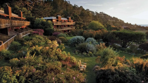 A vibrant dog park bathed in sunlight features abundant greenery with mature trees, offering ample shade for leisurely outdoor activities. In the distance is a well-equipped playground that presents an additional activity area. An inviting picnic table spreads out nearby, ideal for enjoying meals al fresco or taking relaxing breaks from play. A neatly-placed trash bin aids in maintaining the park's cleanliness for everyone's enjoyment. Dominating the scene is a generously wide dirt path gracefully curving through the expanse of grass, promising exploratory walks and lively fetch games.
