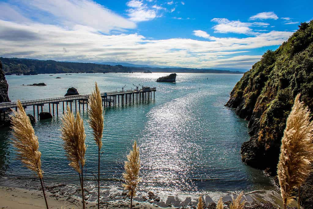 Trinidad Pier in Humboldt County