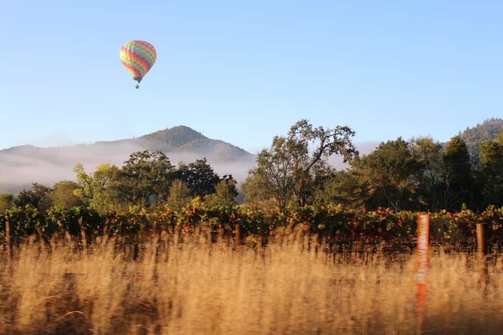 hot air balloon in Napa Valley