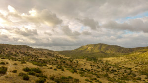A vibrant dog park bathed in sunlight features abundant greenery with mature trees, offering ample shade for leisurely outdoor activities. In the distance is a well-equipped playground that presents an additional activity area. An inviting picnic table spreads out nearby, ideal for enjoying meals al fresco or taking relaxing breaks from play. A neatly-placed trash bin aids in maintaining the park's cleanliness for everyone's enjoyment. Dominating the scene is a generously wide dirt path gracefully curving through the expanse of grass, promising exploratory walks and lively fetch games.