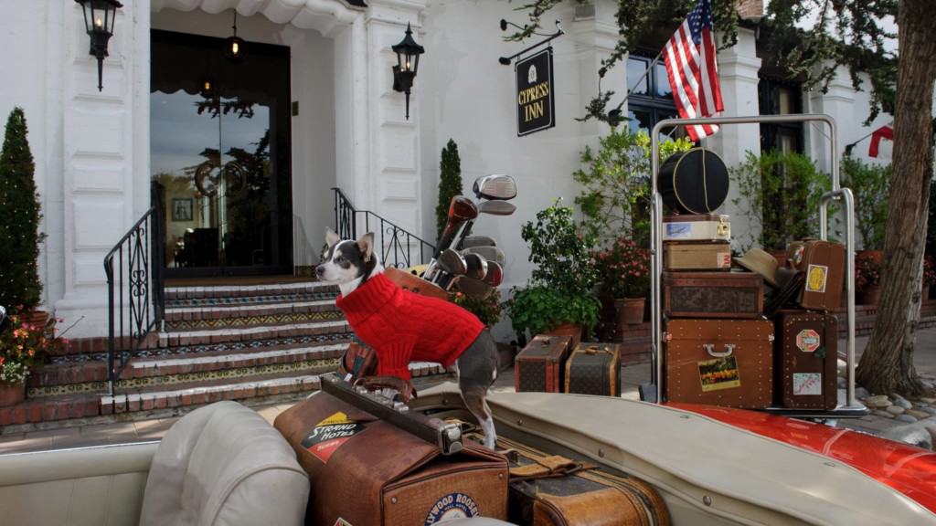 dog in convertible in front of Cypess Inn