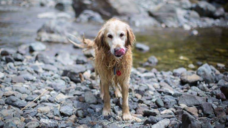 A Tahoe classic that rewards with a splash