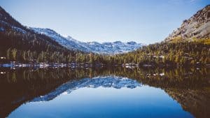 A vibrant dog park bathed in sunlight features abundant greenery with mature trees, offering ample shade for leisurely outdoor activities. In the distance is a well-equipped playground that presents an additional activity area. An inviting picnic table spreads out nearby, ideal for enjoying meals al fresco or taking relaxing breaks from play. A neatly-placed trash bin aids in maintaining the park's cleanliness for everyone's enjoyment. Dominating the scene is a generously wide dirt path gracefully curving through the expanse of grass, promising exploratory walks and lively fetch games.