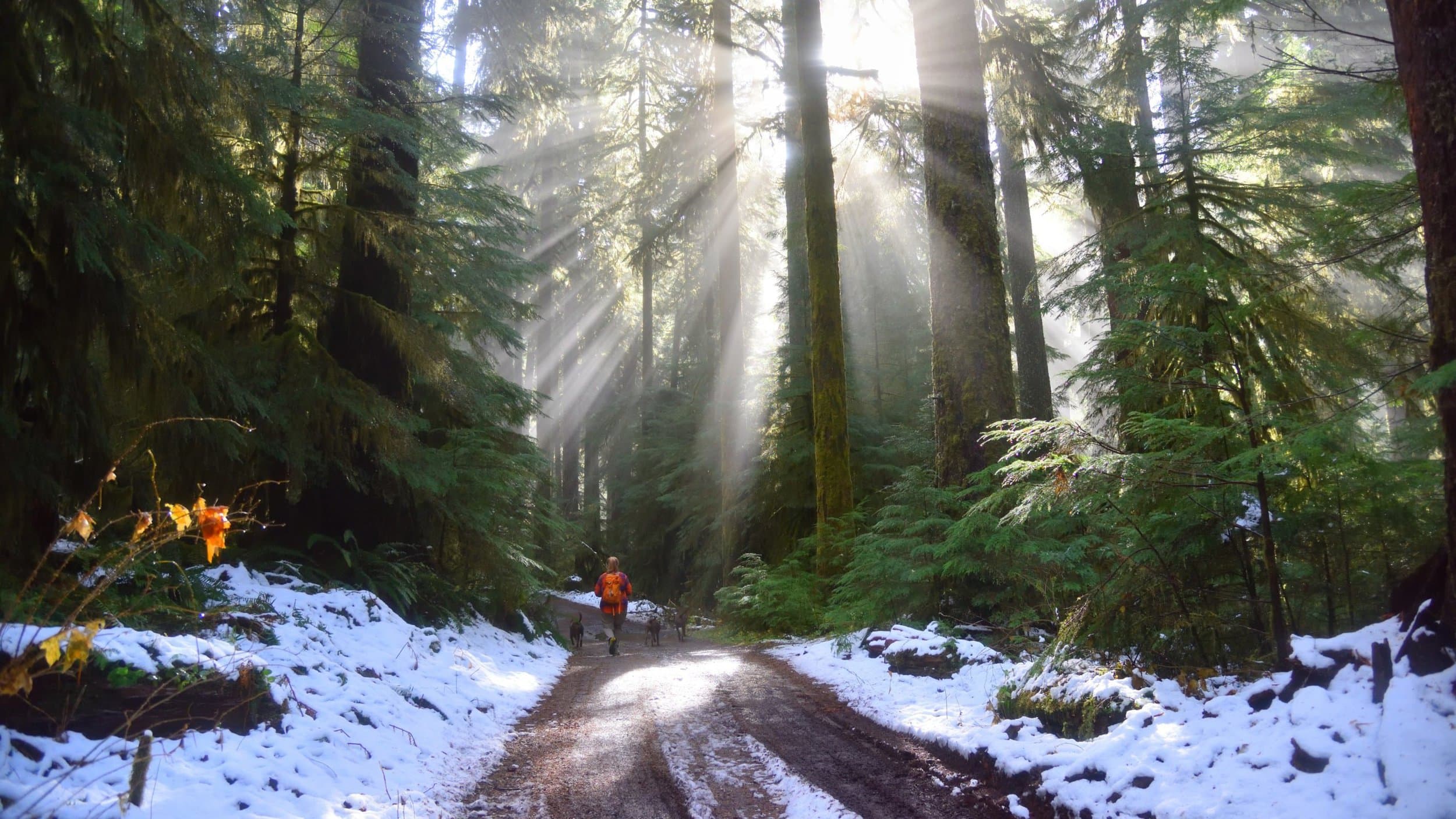 Plowed trail