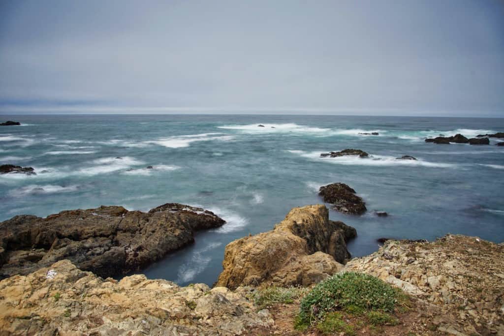 MacKerricher State Park view