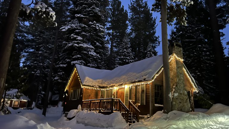 A vibrant dog park bathed in sunlight features abundant greenery with mature trees, offering ample shade for leisurely outdoor activities. In the distance is a well-equipped playground that presents an additional activity area. An inviting picnic table spreads out nearby, ideal for enjoying meals al fresco or taking relaxing breaks from play. A neatly-placed trash bin aids in maintaining the park's cleanliness for everyone's enjoyment. Dominating the scene is a generously wide dirt path gracefully curving through the expanse of grass, promising exploratory walks and lively fetch games.