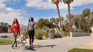 Two women walk a husky on a paved park path lined with palm trees and desert plants under a mostly clear sky.