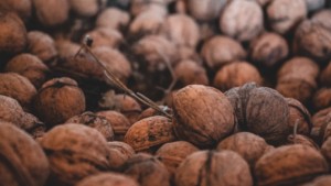 A vibrant dog park bathed in sunlight features abundant greenery with mature trees, offering ample shade for leisurely outdoor activities. In the distance is a well-equipped playground that presents an additional activity area. An inviting picnic table spreads out nearby, ideal for enjoying meals al fresco or taking relaxing breaks from play. A neatly-placed trash bin aids in maintaining the park's cleanliness for everyone's enjoyment. Dominating the scene is a generously wide dirt path gracefully curving through the expanse of grass, promising exploratory walks and lively fetch games.
