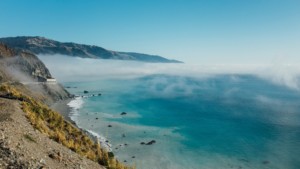 A vibrant dog park bathed in sunlight features abundant greenery with mature trees, offering ample shade for leisurely outdoor activities. In the distance is a well-equipped playground that presents an additional activity area. An inviting picnic table spreads out nearby, ideal for enjoying meals al fresco or taking relaxing breaks from play. A neatly-placed trash bin aids in maintaining the park's cleanliness for everyone's enjoyment. Dominating the scene is a generously wide dirt path gracefully curving through the expanse of grass, promising exploratory walks and lively fetch games.