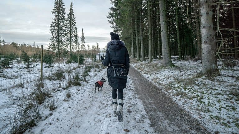 At Tahoe: Plowed trails for tails