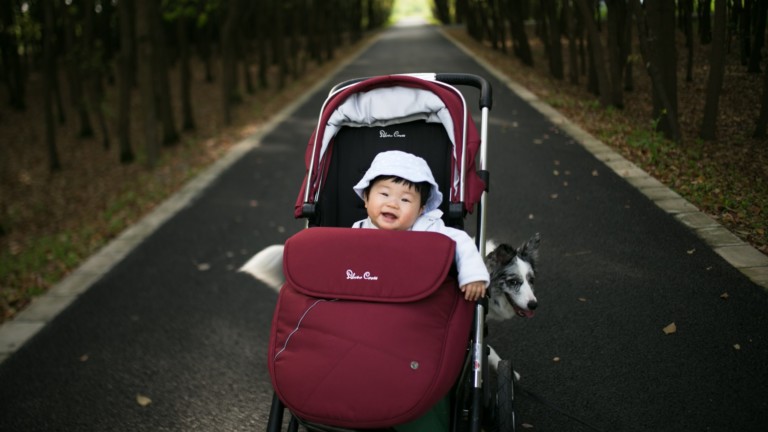 Stroller-friendly hikes for wheels, feet and paws
