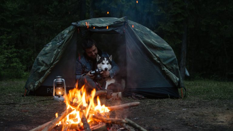 Visit a close-in, dog-friendly campground