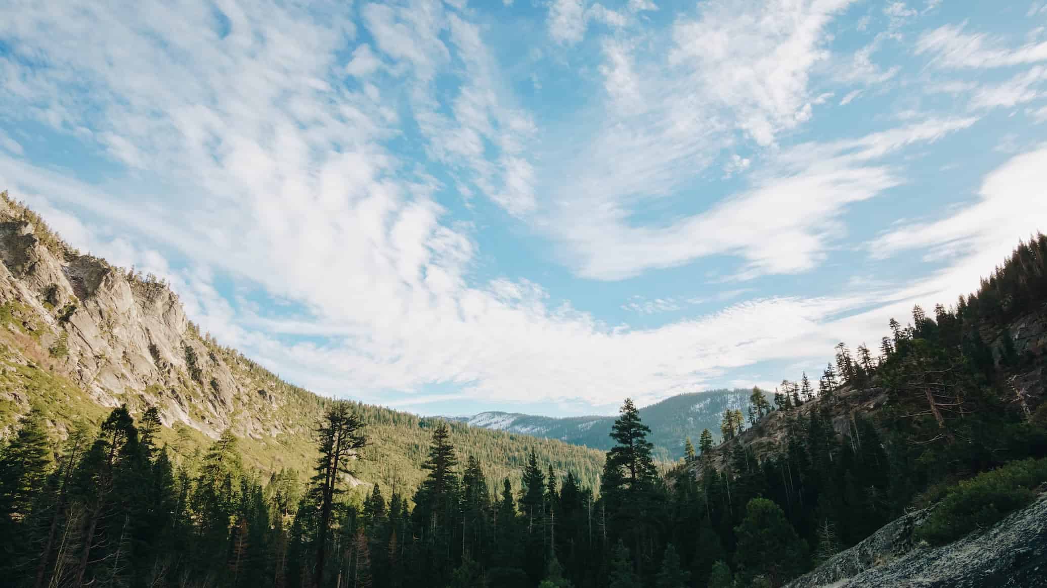 A scenic view of Horsetail Falls and the surrounding trees.