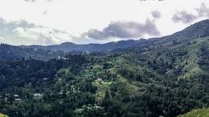 A vibrant dog park bathed in sunlight features abundant greenery with mature trees, offering ample shade for leisurely outdoor activities. In the distance is a well-equipped playground that presents an additional activity area. An inviting picnic table spreads out nearby, ideal for enjoying meals al fresco or taking relaxing breaks from play. A neatly-placed trash bin aids in maintaining the park's cleanliness for everyone's enjoyment. Dominating the scene is a generously wide dirt path gracefully curving through the expanse of grass, promising exploratory walks and lively fetch games.