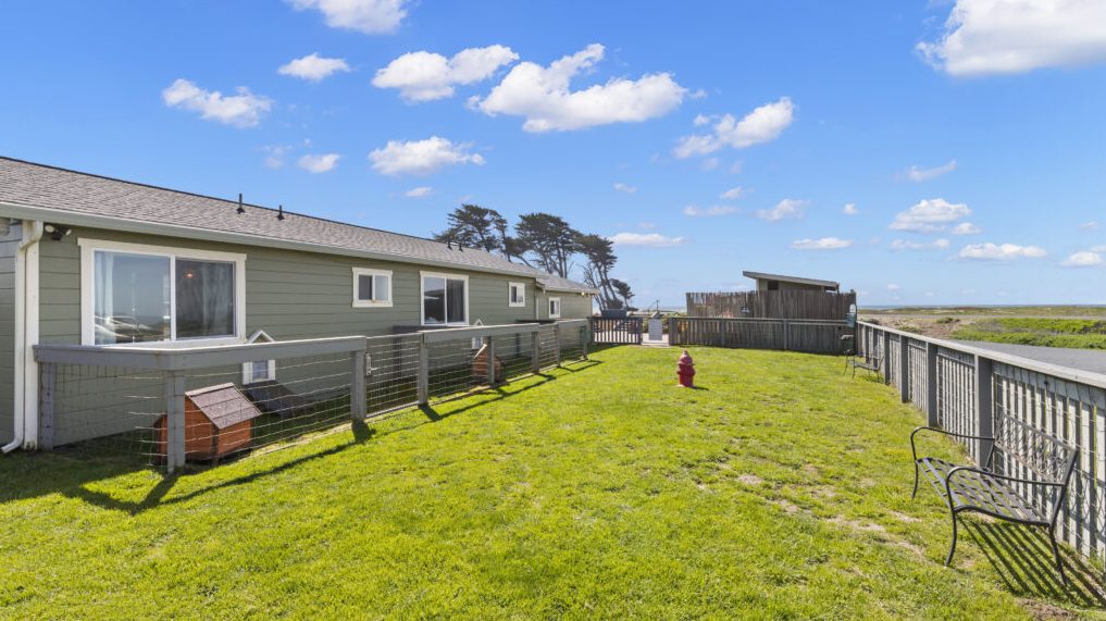 A vibrant dog park bathed in sunlight features abundant greenery with mature trees, offering ample shade for leisurely outdoor activities. In the distance is a well-equipped playground that presents an additional activity area. An inviting picnic table spreads out nearby, ideal for enjoying meals al fresco or taking relaxing breaks from play. A neatly-placed trash bin aids in maintaining the park's cleanliness for everyone's enjoyment. Dominating the scene is a generously wide dirt path gracefully curving through the expanse of grass, promising exploratory walks and lively fetch games.