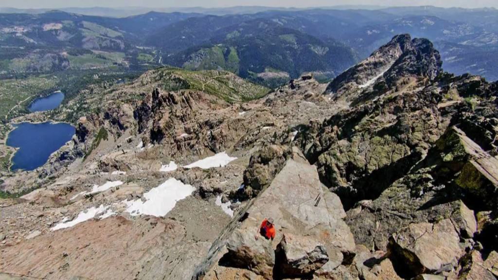 Dog sniffing scenery in Sierra County