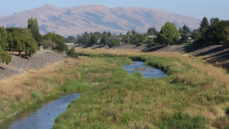 Alameda Creek Regional Trail