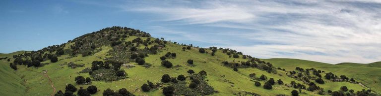Brushy Peak Regional Preserve