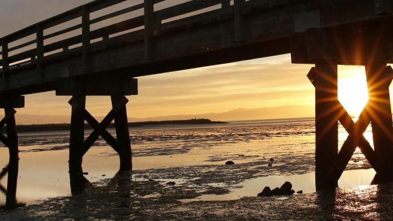 Hayward Regional Park