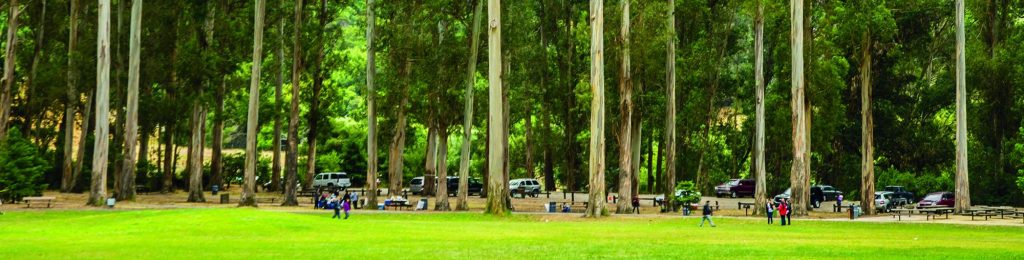 Kennedy Grove Regional Recreation Area