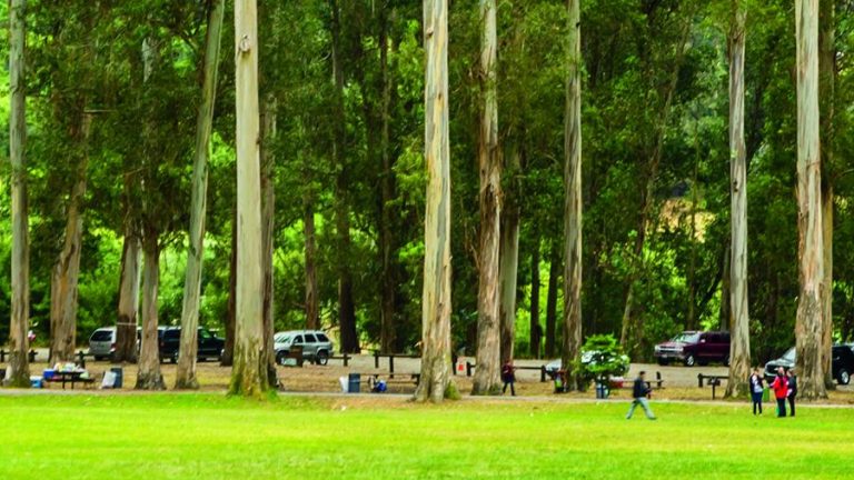 Kennedy Grove Regional Recreation Area