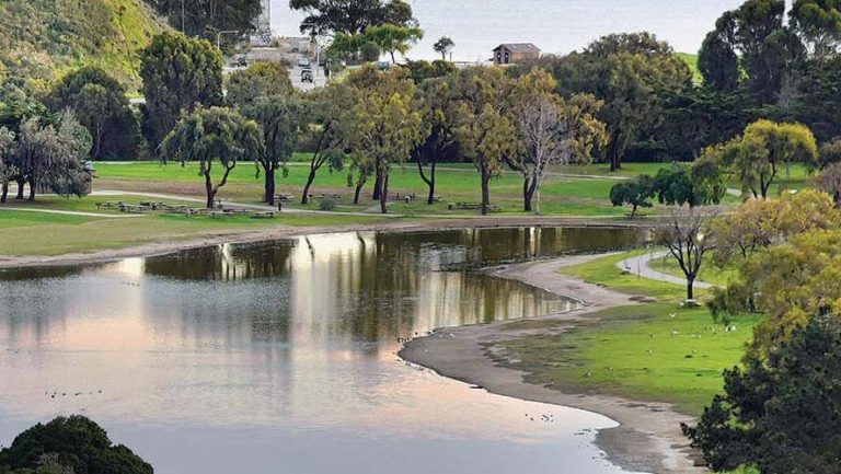 Miller/Knox Regional Shoreline