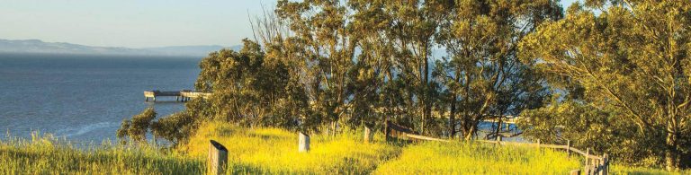 Point Pinole Regional Shoreline