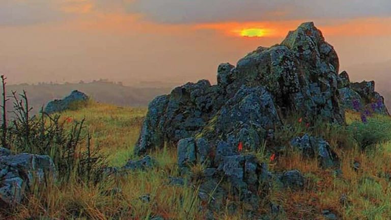 Sibley Volcanic Regional Preserve