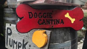 242357673 4527952147264045 5006250360799403986 n