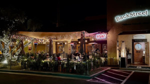 A vibrant dog park bathed in sunlight features abundant greenery with mature trees, offering ample shade for leisurely outdoor activities. In the distance is a well-equipped playground that presents an additional activity area. An inviting picnic table spreads out nearby, ideal for enjoying meals al fresco or taking relaxing breaks from play. A neatly-placed trash bin aids in maintaining the park's cleanliness for everyone's enjoyment. Dominating the scene is a generously wide dirt path gracefully curving through the expanse of grass, promising exploratory walks and lively fetch games.