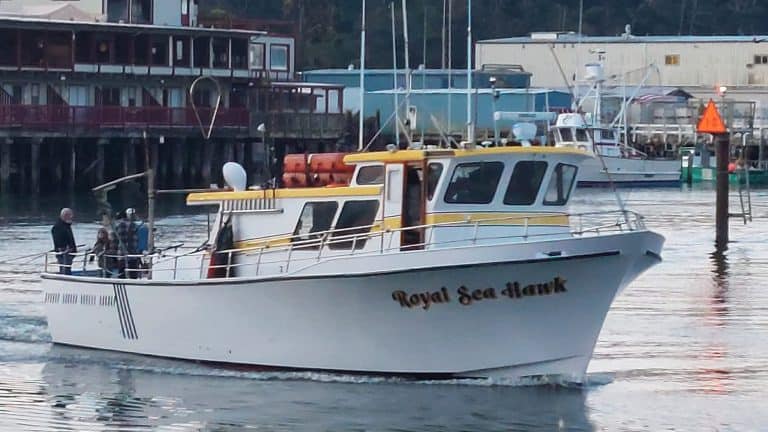 All Aboard Adventures