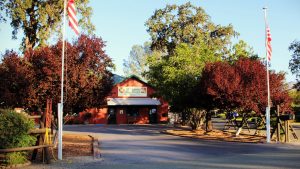 A vibrant dog park bathed in sunlight features abundant greenery with mature trees, offering ample shade for leisurely outdoor activities. In the distance is a well-equipped playground that presents an additional activity area. An inviting picnic table spreads out nearby, ideal for enjoying meals al fresco or taking relaxing breaks from play. A neatly-placed trash bin aids in maintaining the park's cleanliness for everyone's enjoyment. Dominating the scene is a generously wide dirt path gracefully curving through the expanse of grass, promising exploratory walks and lively fetch games.