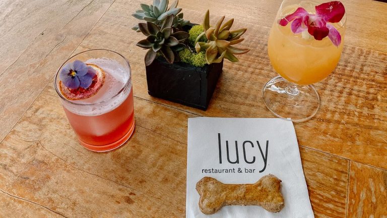 Lucy Restaurant & Bar at the Bardessono