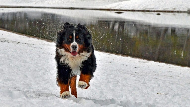 Highway 108 SNO-Park